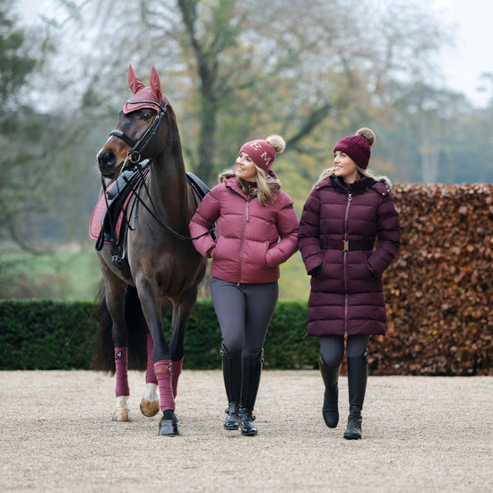 Classic Fly Hood Orchid