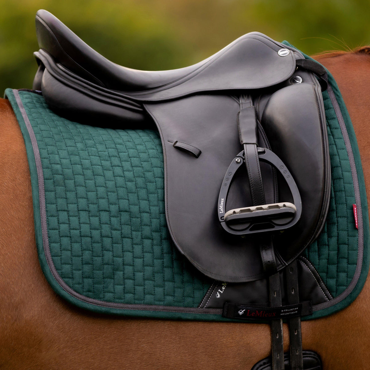 Classique Suede Dressage Saddle Pad Spruce