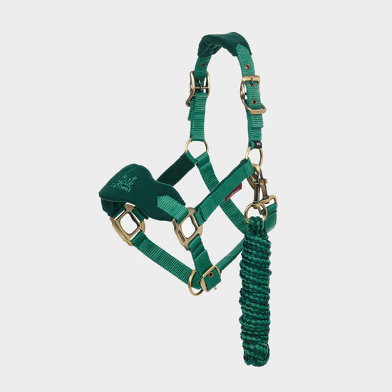 Mini Vogue Headcollar and Leadrope Evergreen