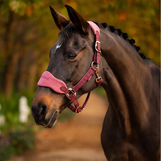 Vogue Headcollar Orchid