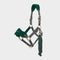 Vogue Headcollar Spruce