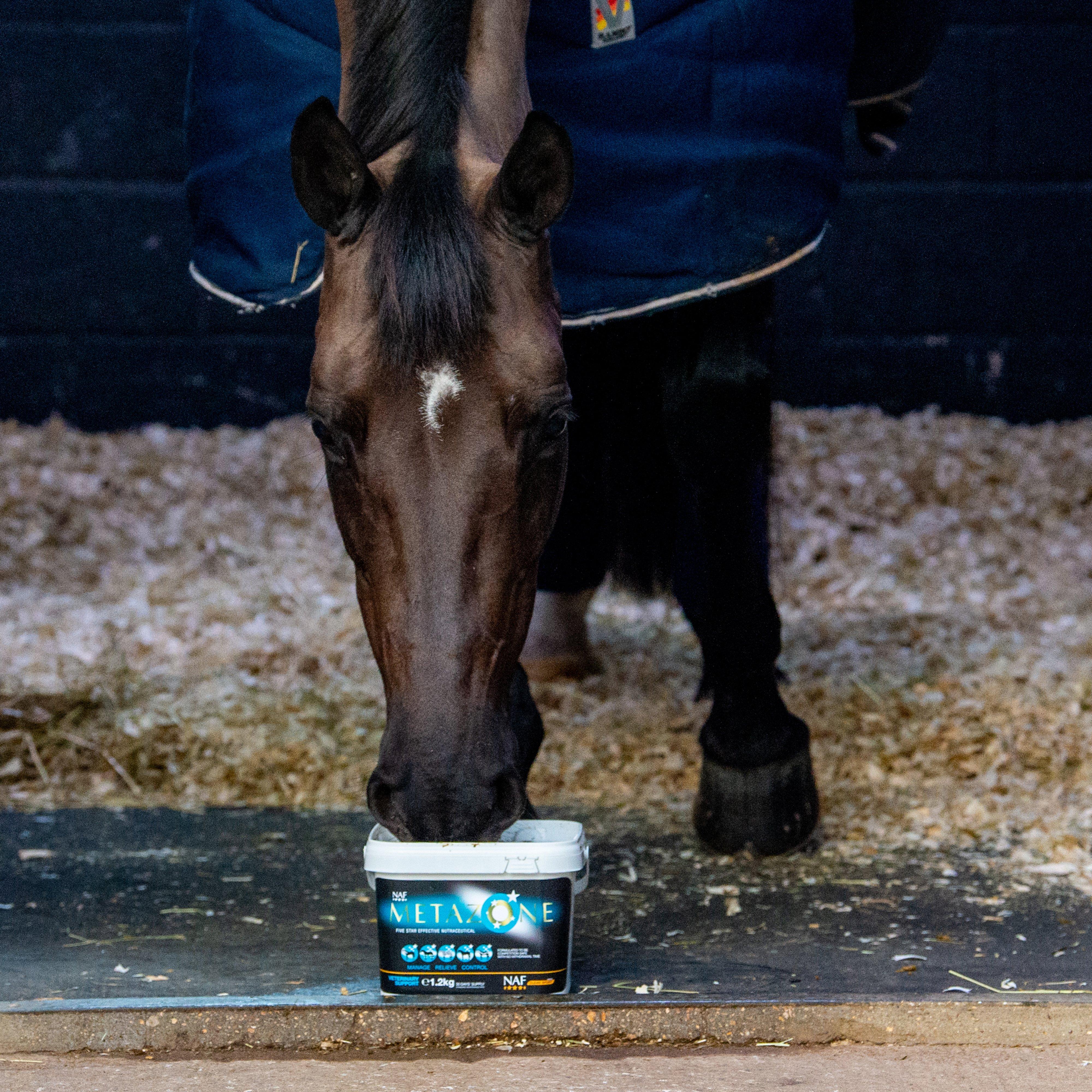 Metazone Powder 1.2KG