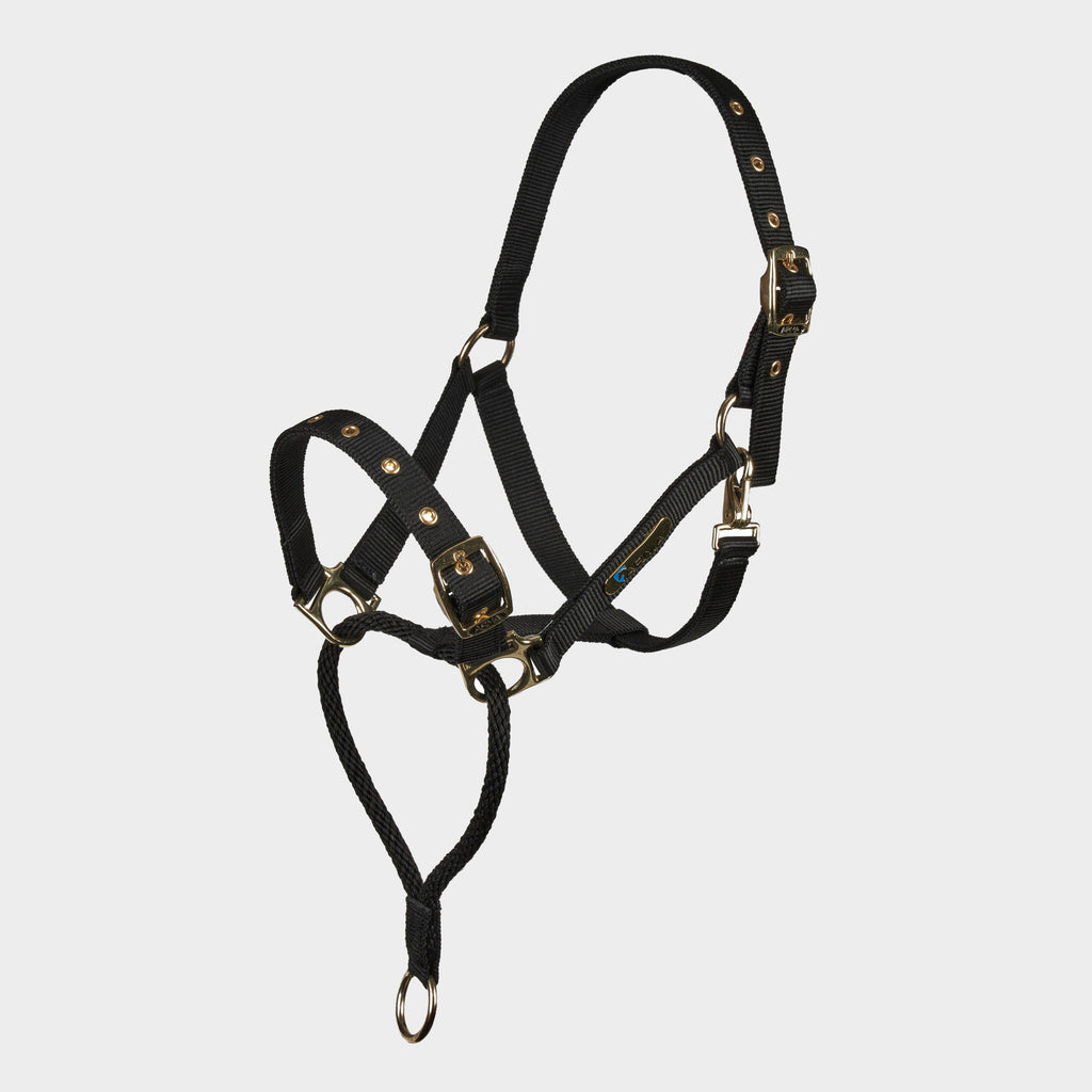 Control Headcollar Black