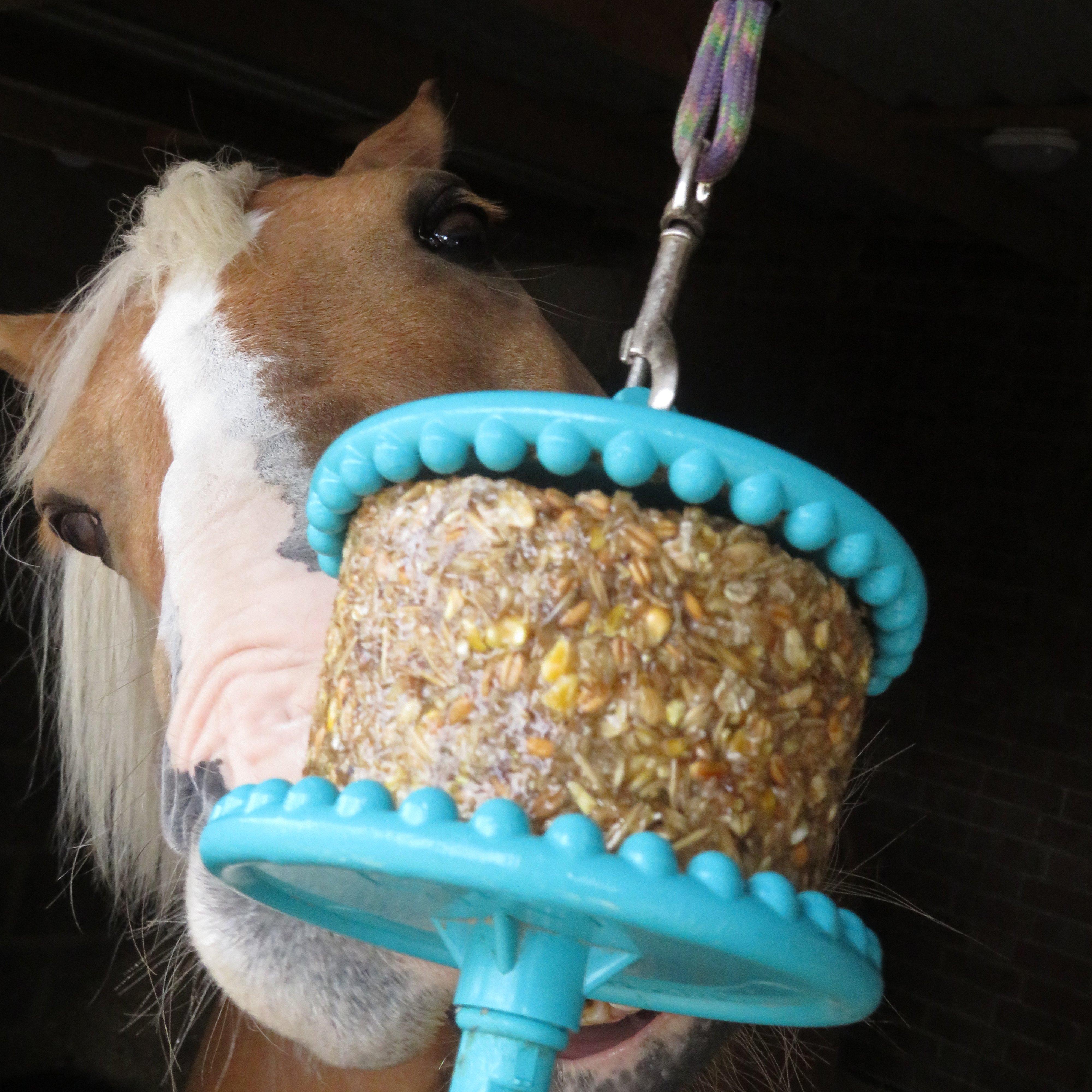 Granola Molasses 550g