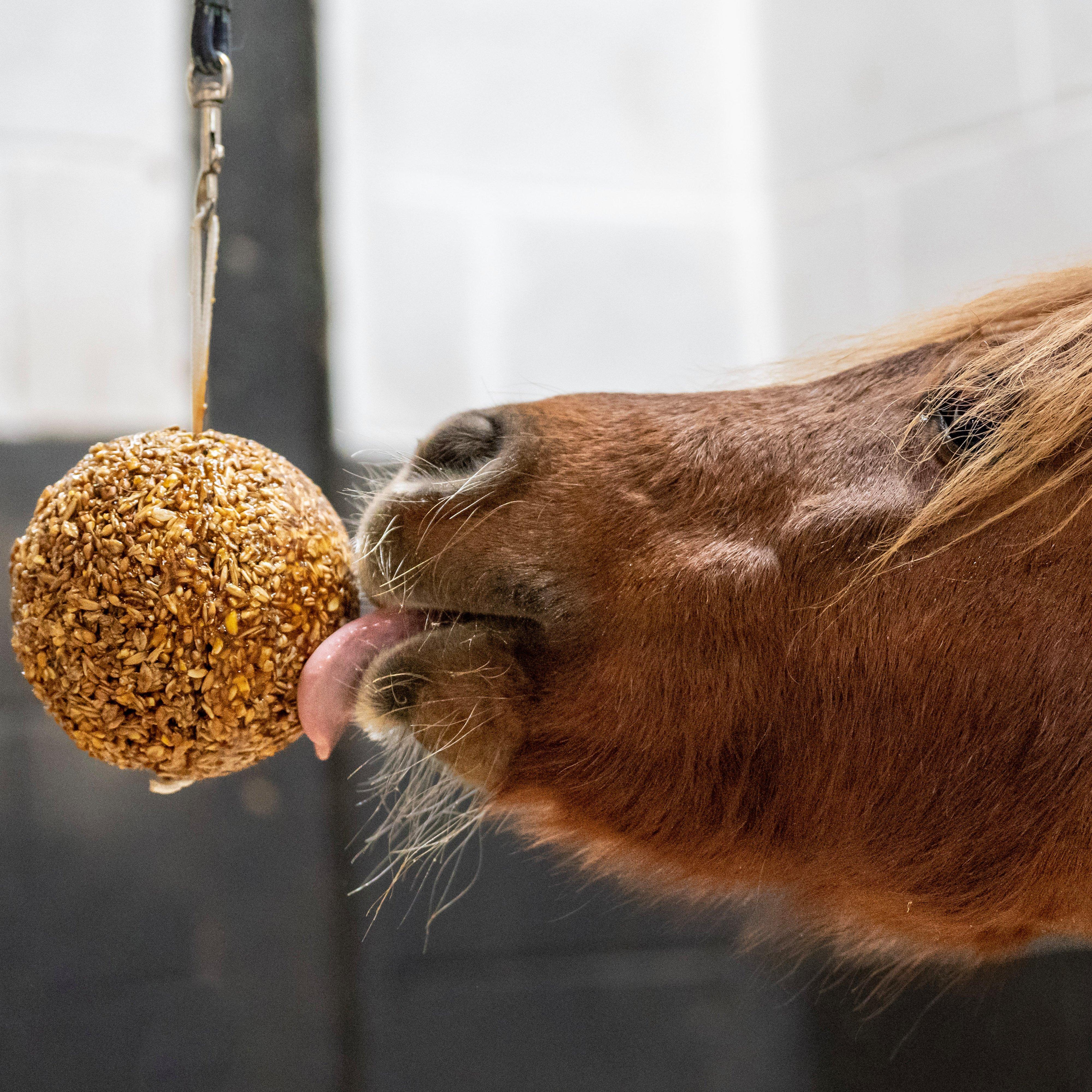 Granola Stall Ball Apple 1.6KG