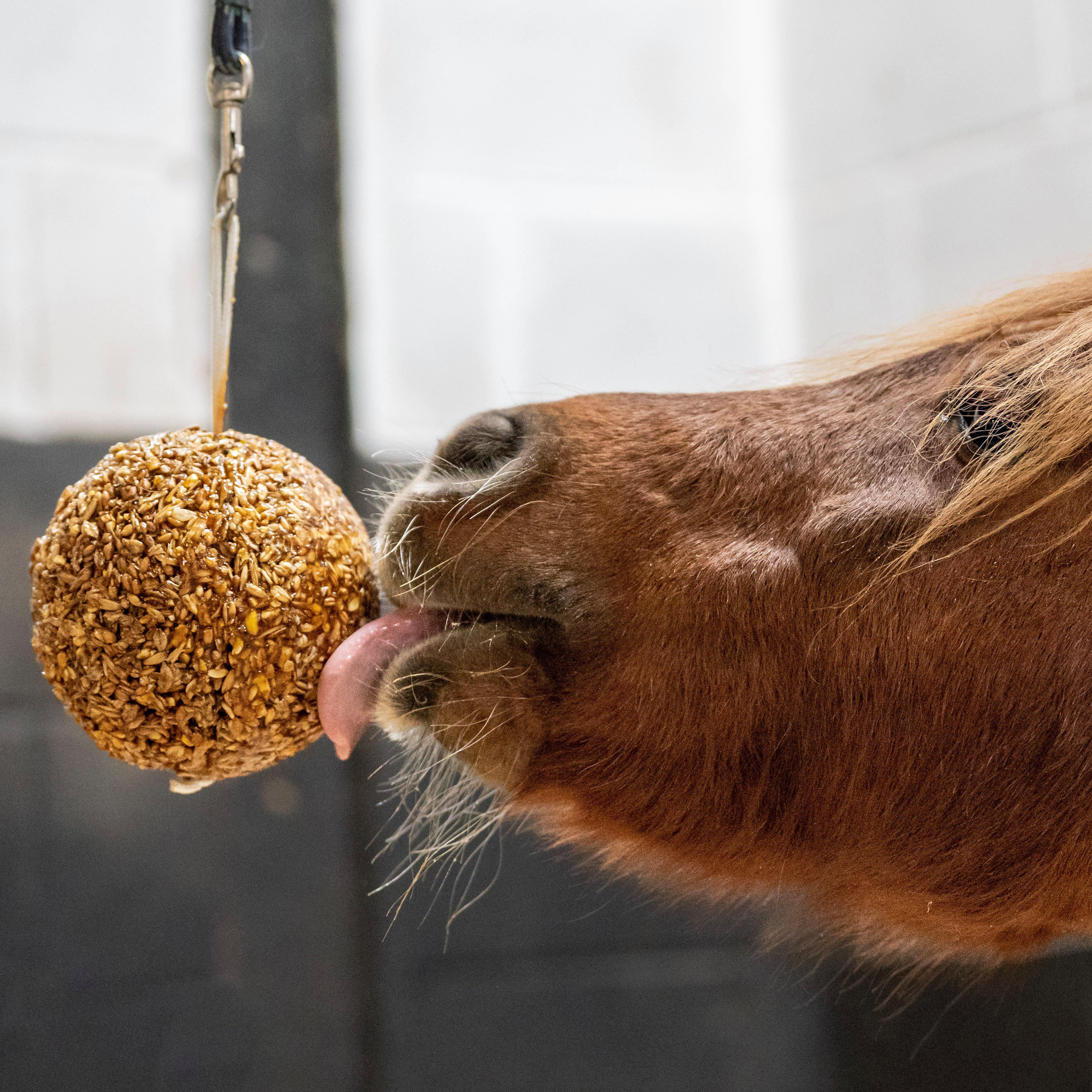 Granola Stall Ball Peppermint 1.6KG