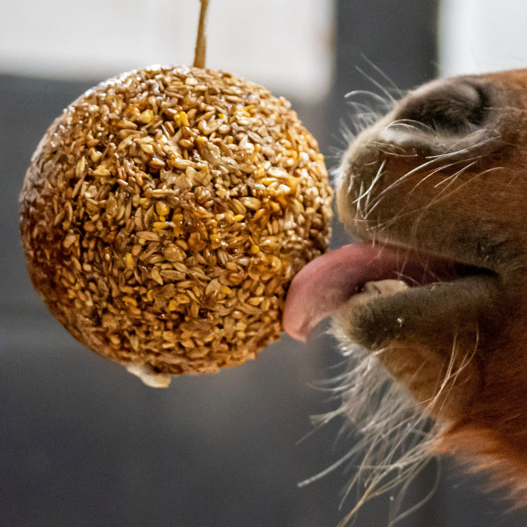 Granola Stall Ball Peppermint 1.6KG