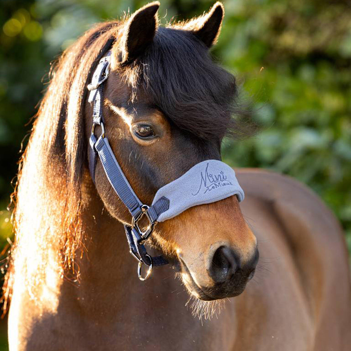 Mini Vogue Headcollar and Leadrope  Indigo