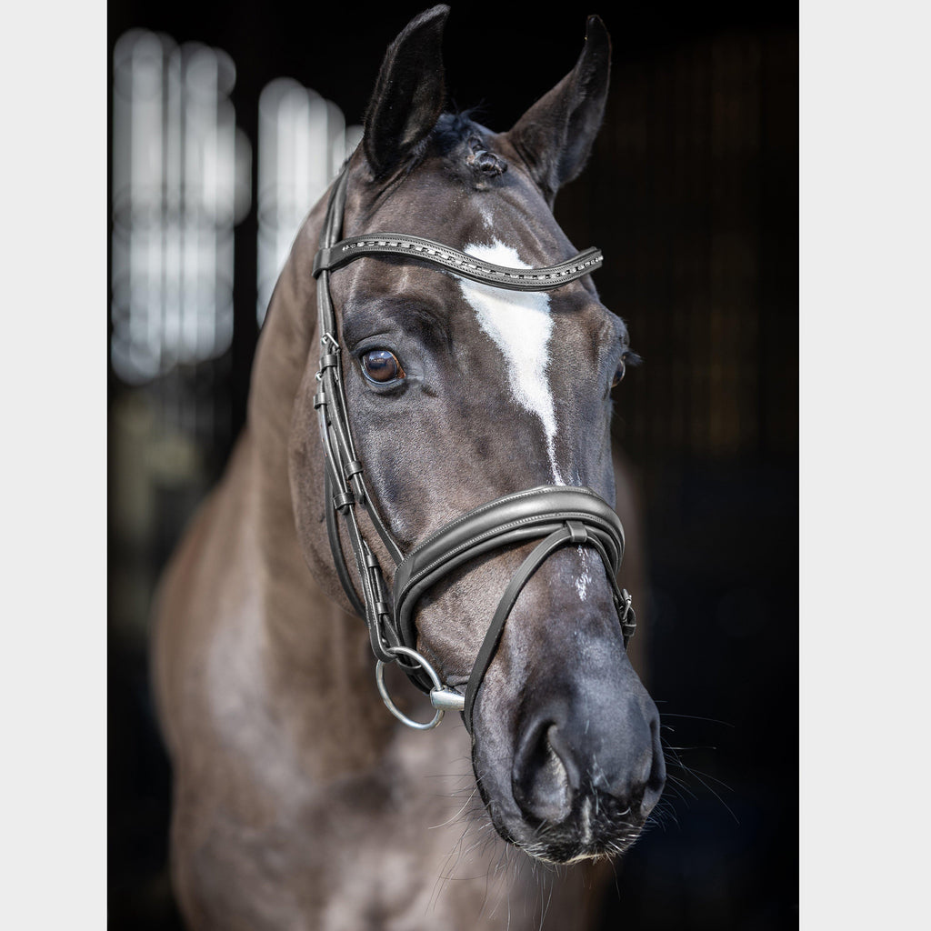 Arika Dressage Bridle Black/Silver