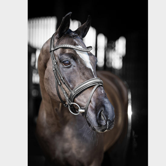 Arika Dressage Bridle Black/Silver