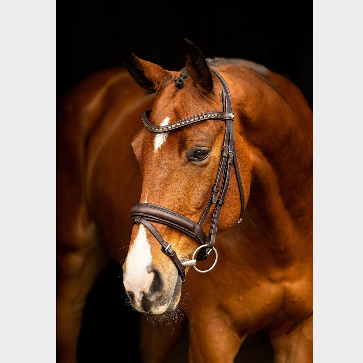 Arika Dressage Bridle Brown/Silver