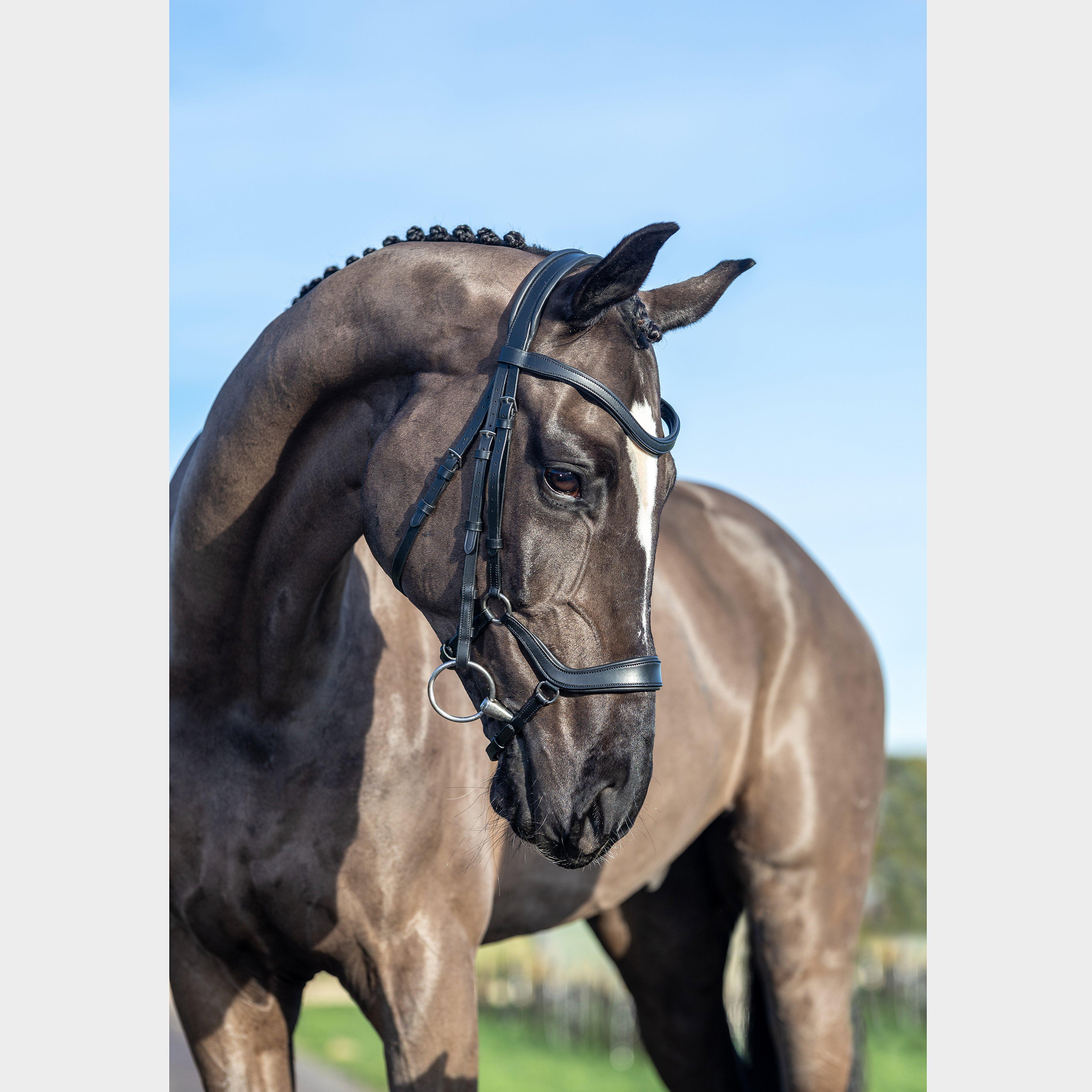 Arika Drop Bridle Black/Silver