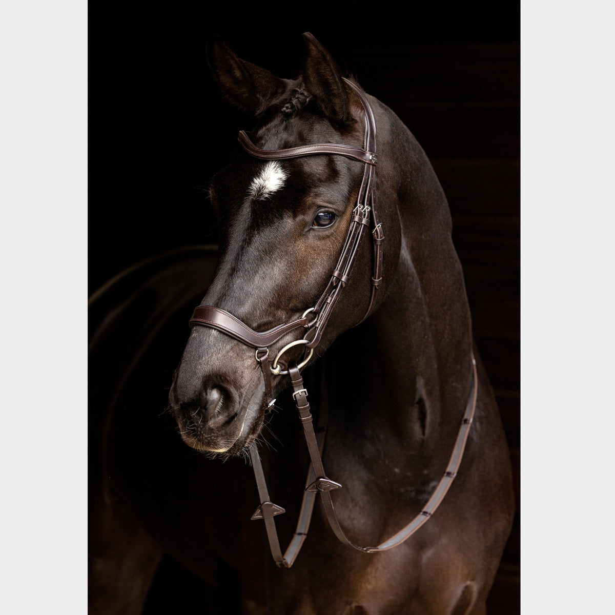 Arika Drop Bridle Brown/Silver