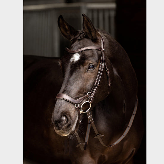 Arika Drop Bridle Brown/Silver