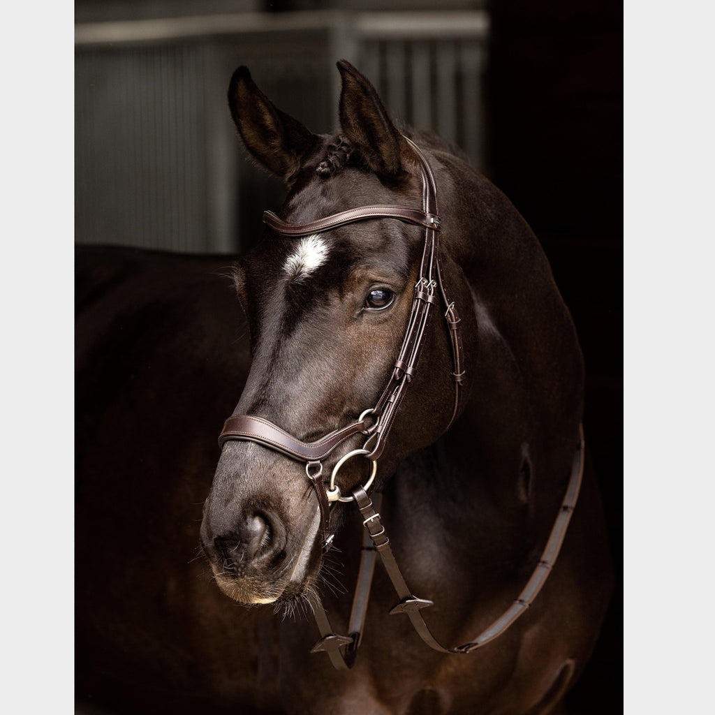 Arika Drop Bridle Brown/Silver