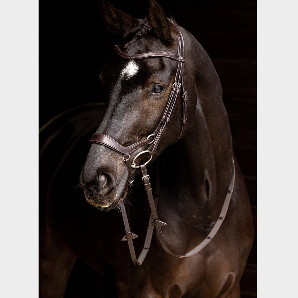 Arika Drop Bridle Brown/Silver