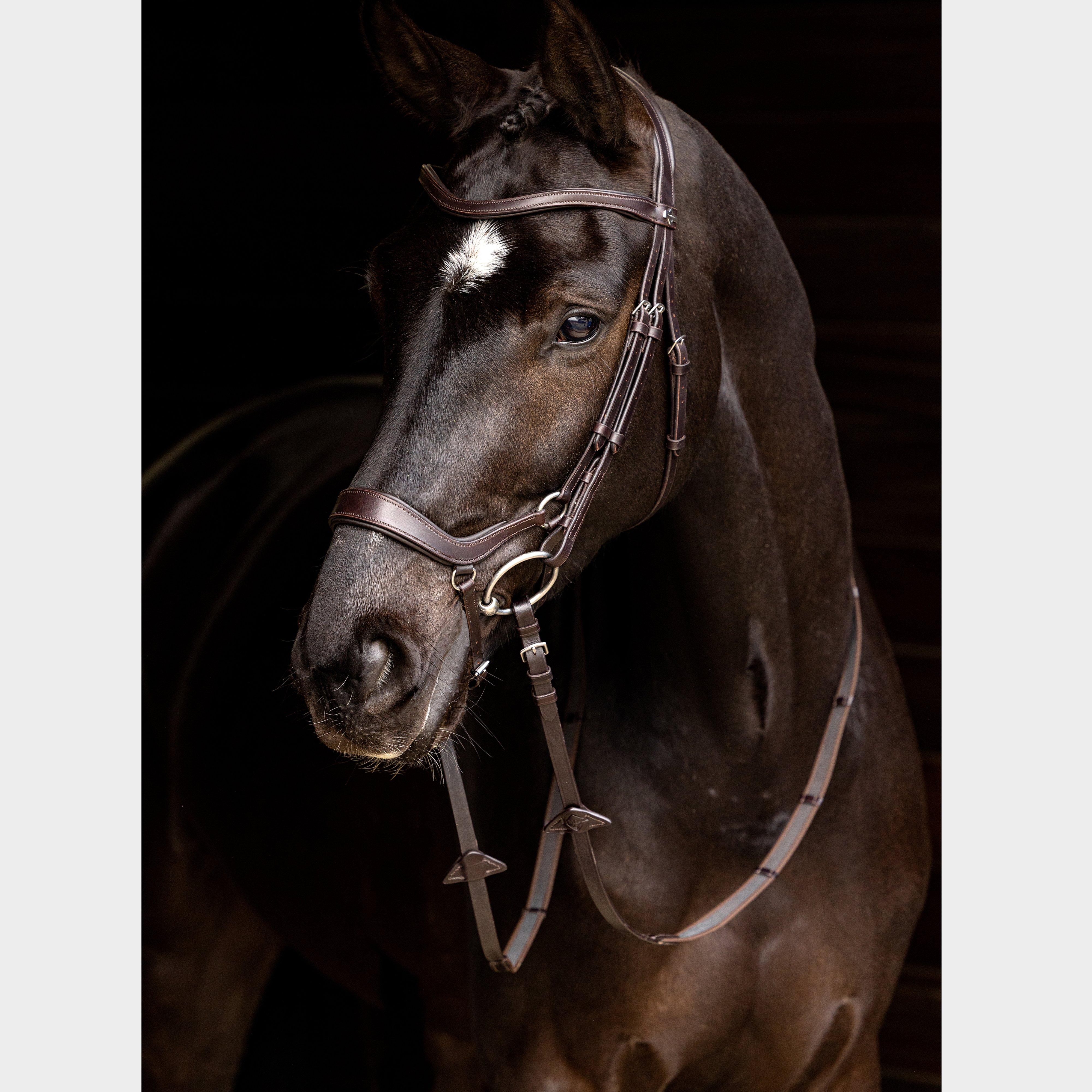 Arika Drop Bridle Brown/Silver