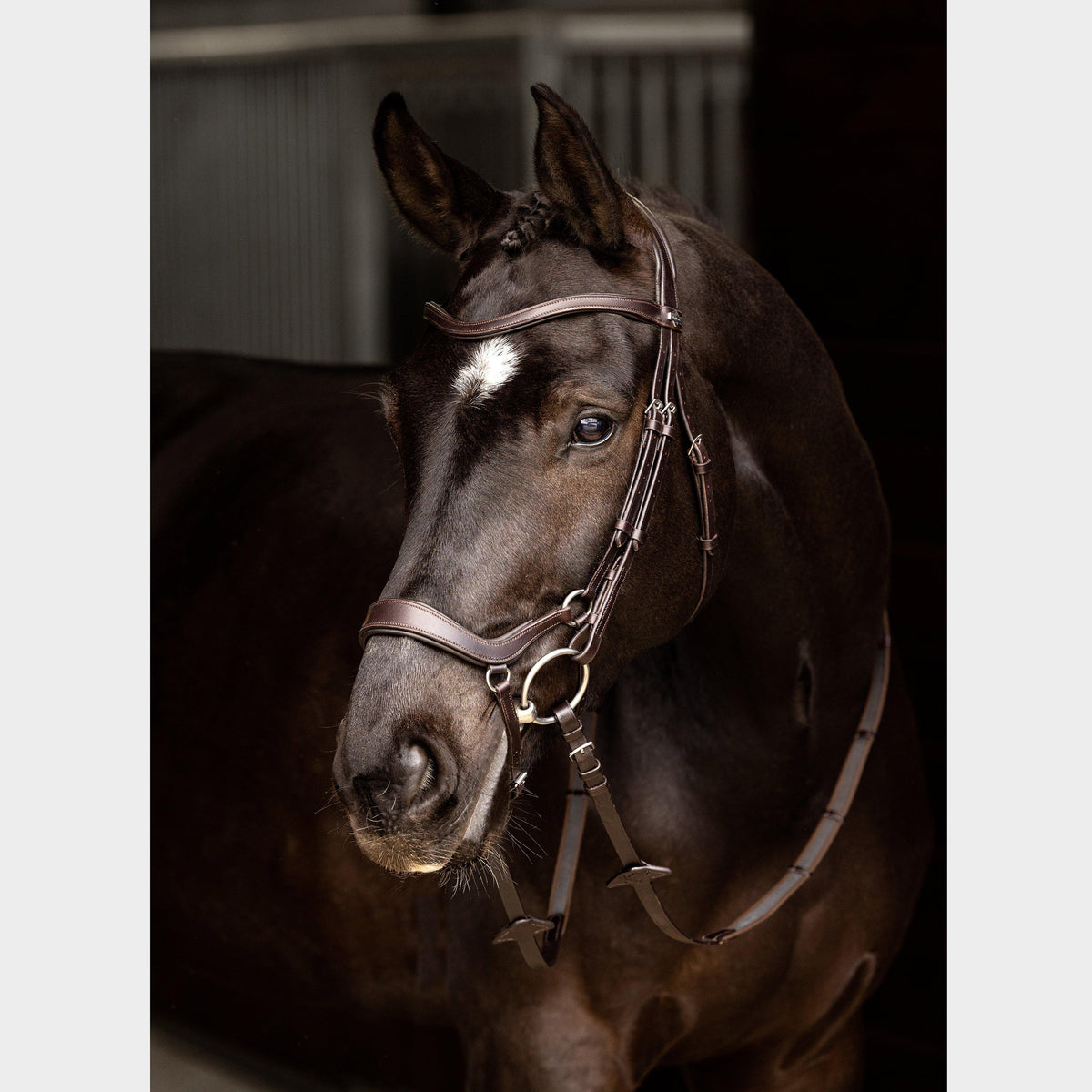 Arika Drop Bridle Brown/Silver