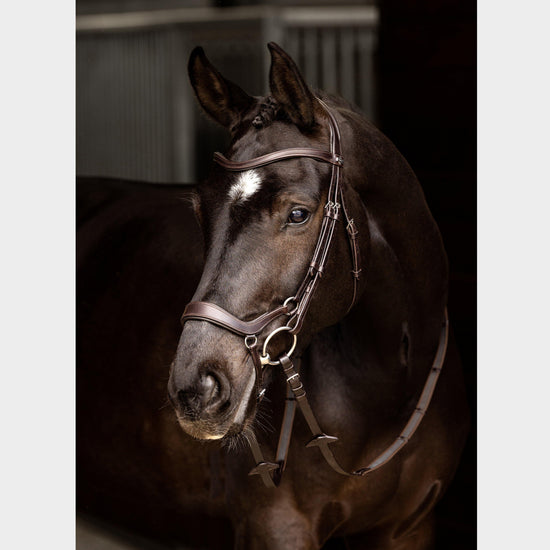Arika Drop Bridle Brown/Silver