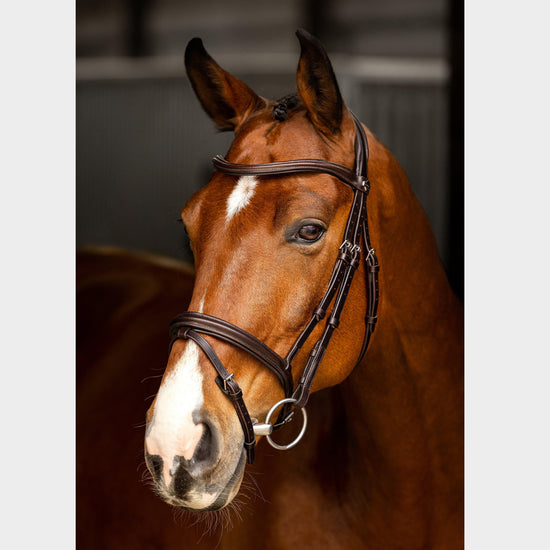 Arika Flash Bridle Brown/Silver