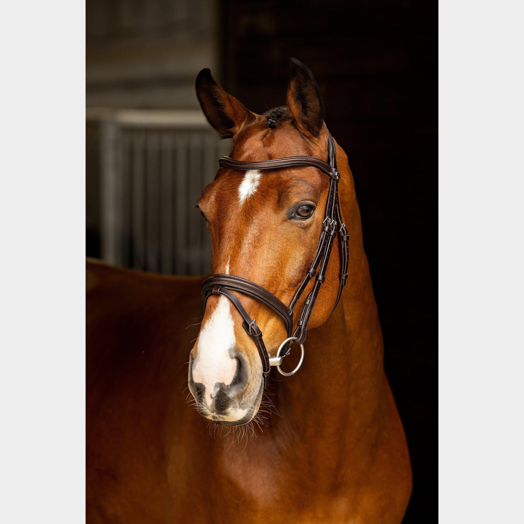 Arika Flash Bridle Brown/Silver