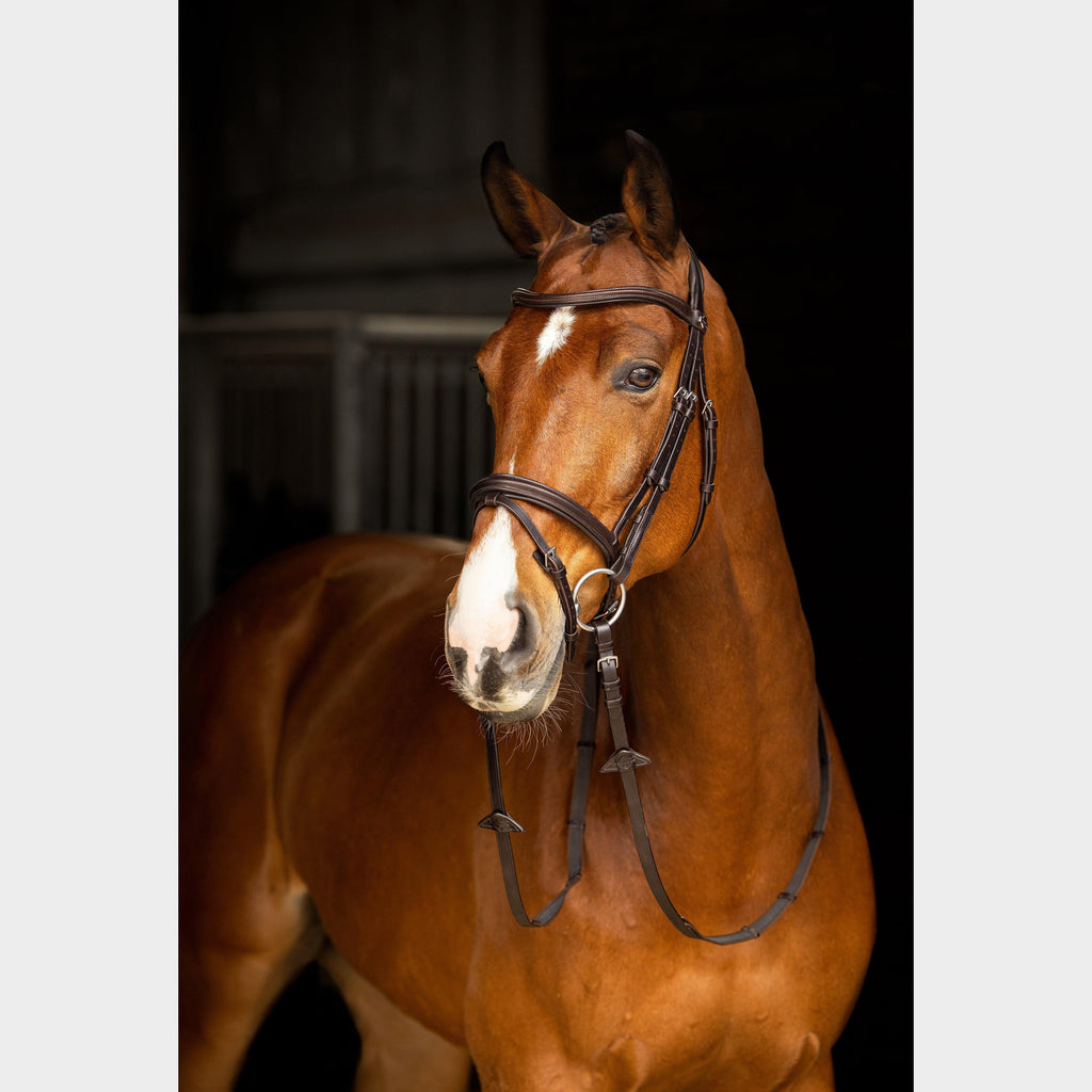 Arika Flash Bridle Brown/Silver