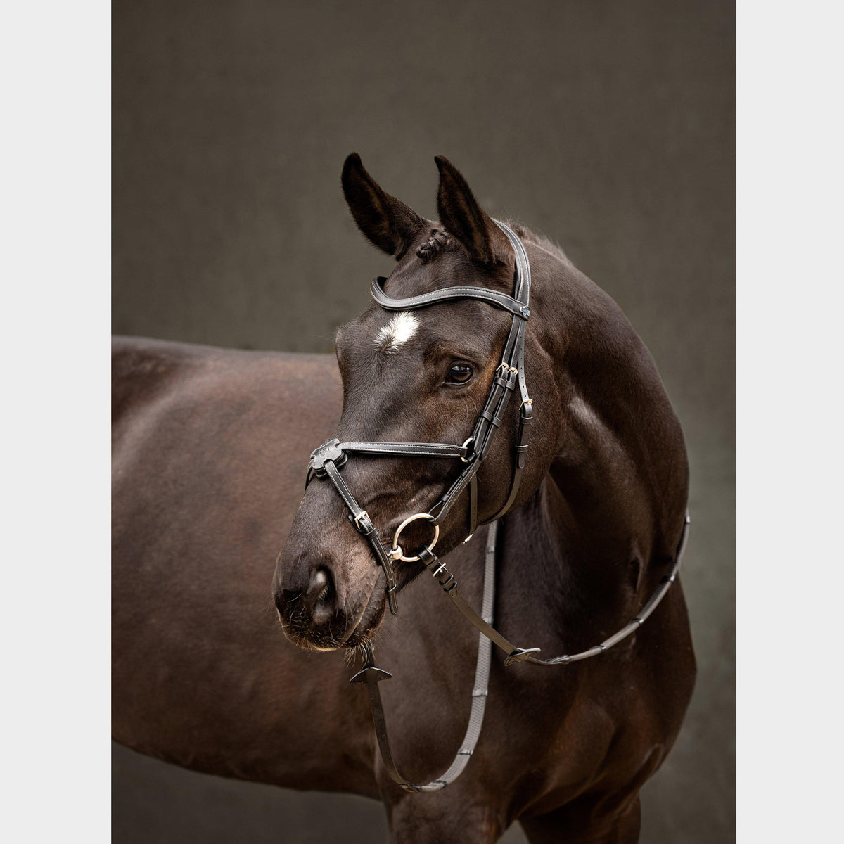 Arika Grackle Bridle Black/Silver