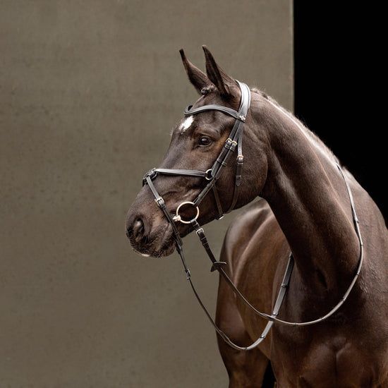 Arika Grackle Bridle Black/Silver