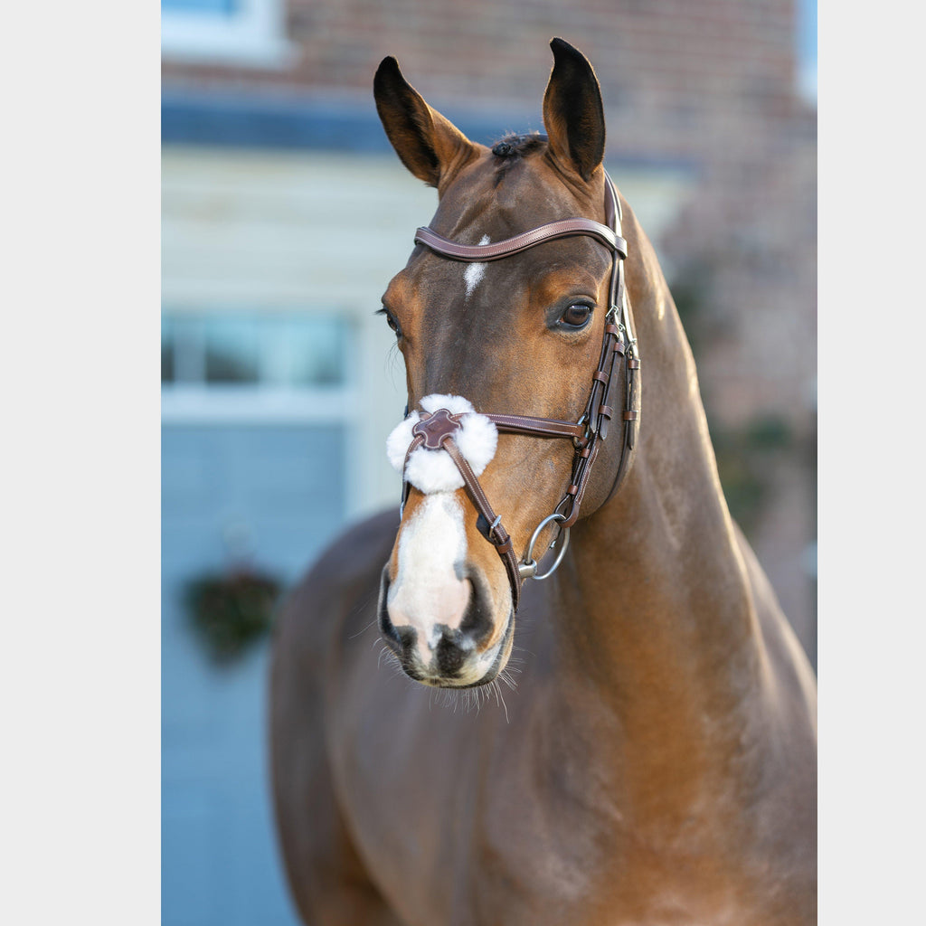 Arika Grackle Bridle Brown/Silver