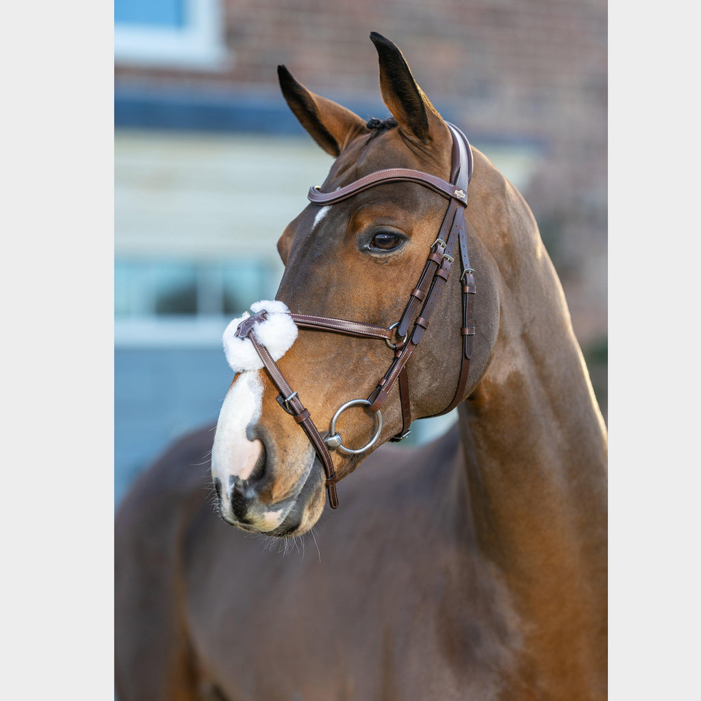 Arika Grackle Bridle Brown/Silver