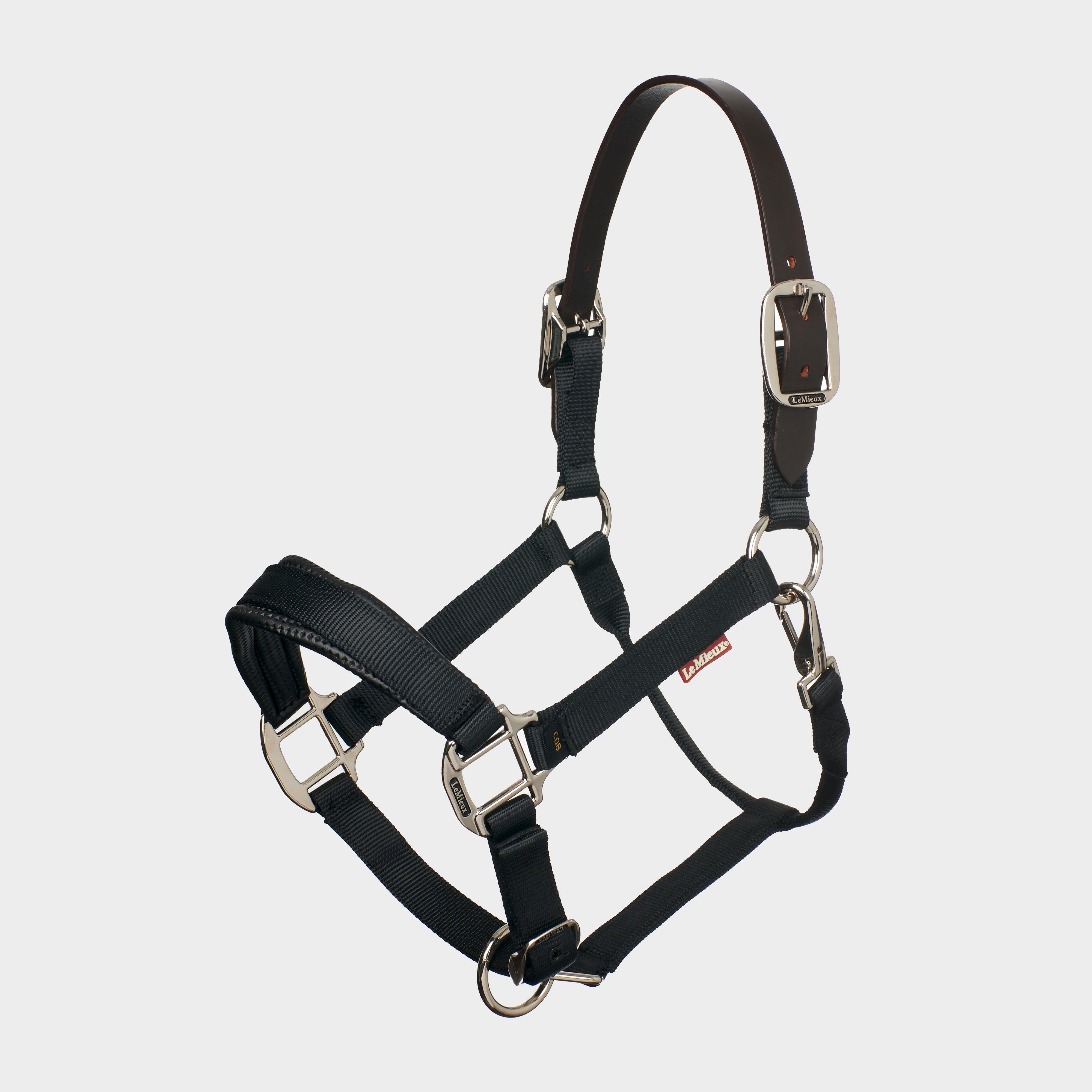 Break Away Headcollar Black