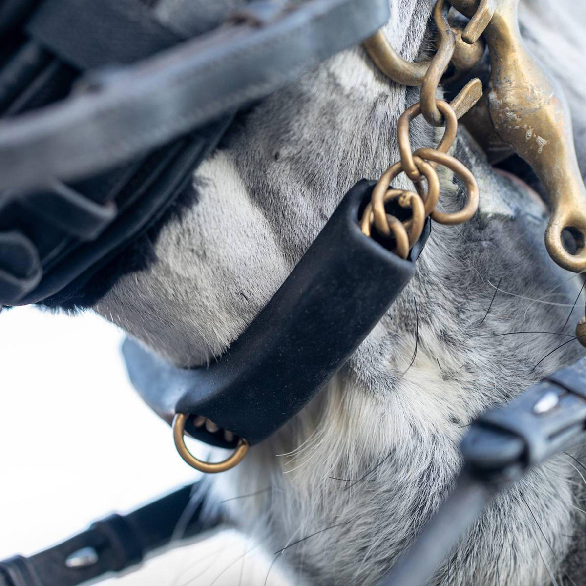 Acavallo Curb Chain Guard Black