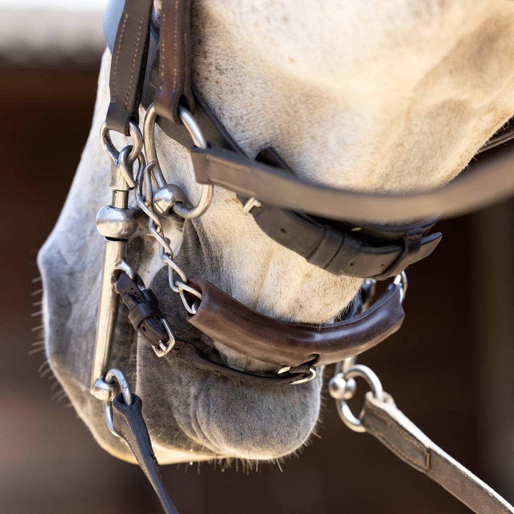 Acavallo Curb Chain Guard Brown