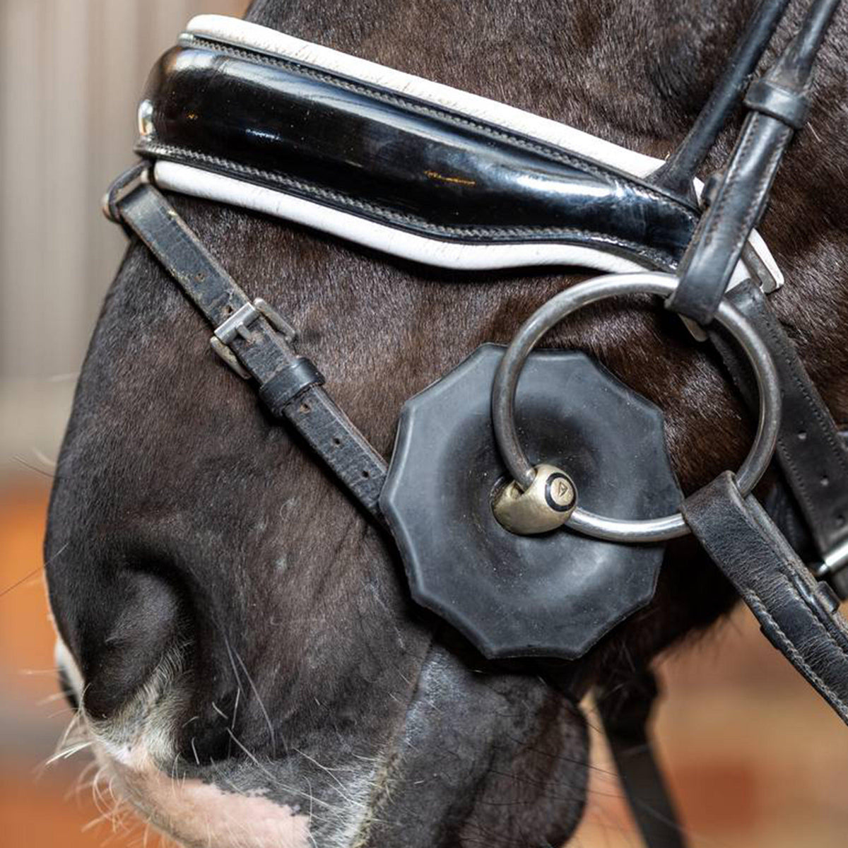 Contoured Rubber Bit Guards Black