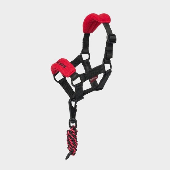 Toy Pony Headcollar Chilli