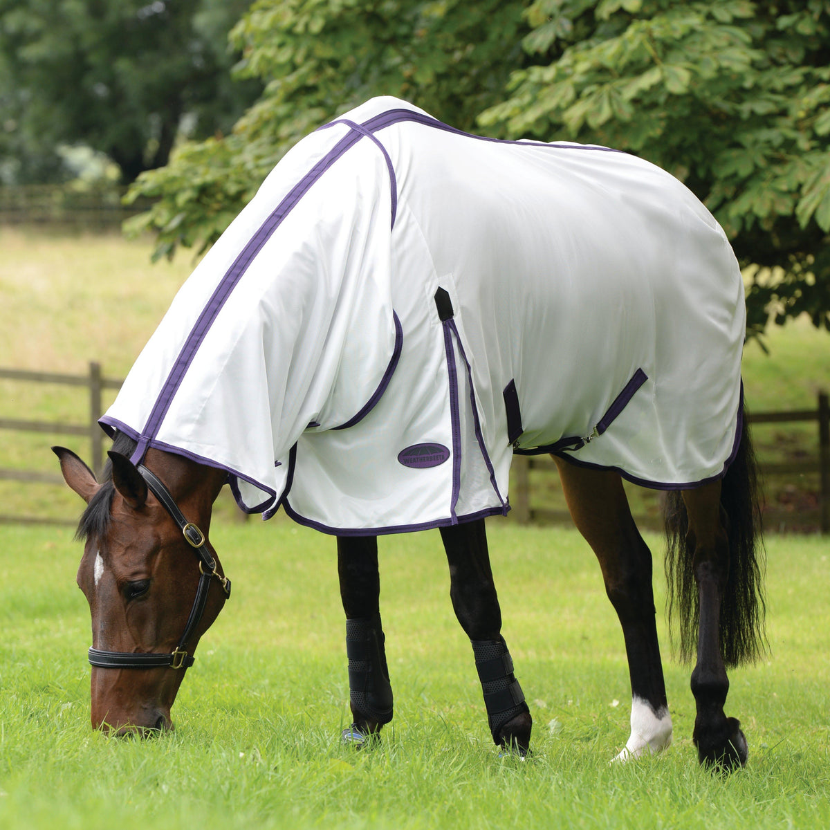 ComFiTec Essential Mesh Combo Neck Rug White/Purple/Black