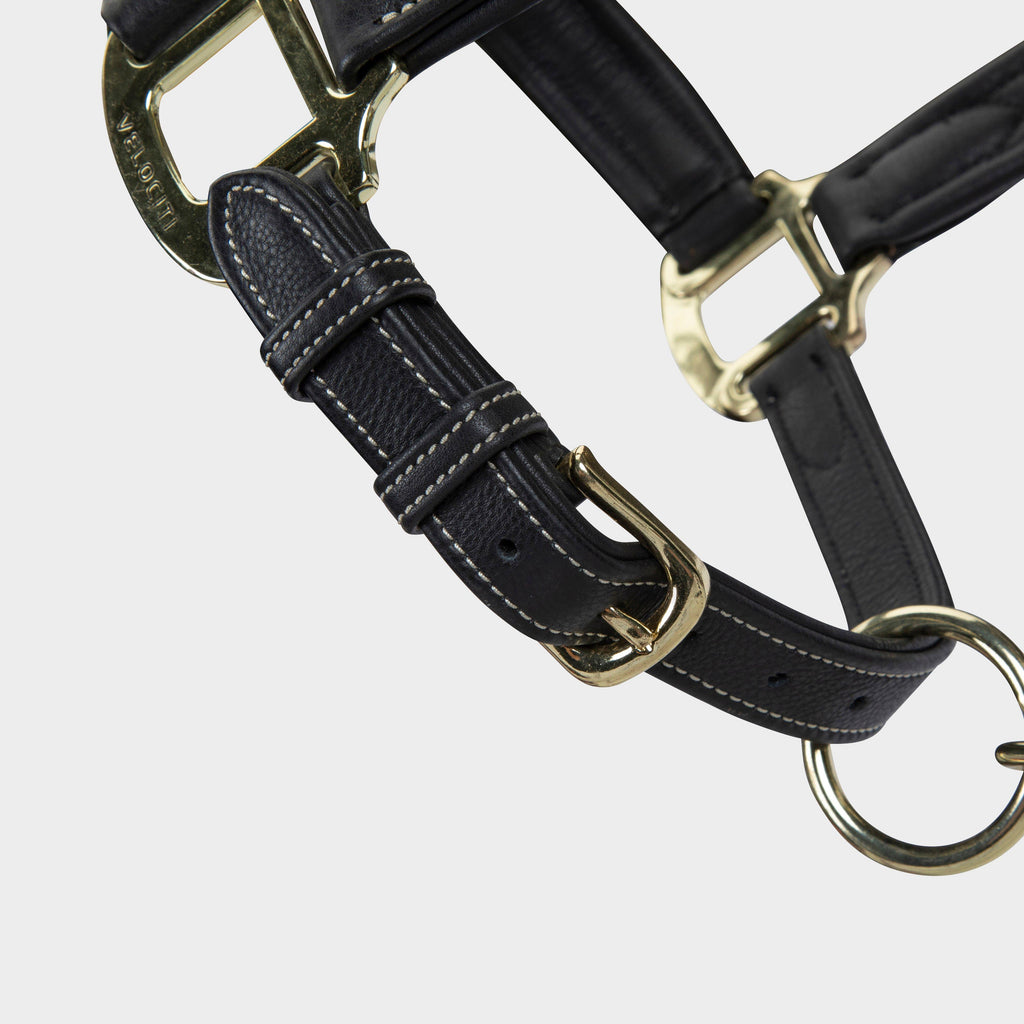 RAPIDA Comfort Leather Headcollar Black