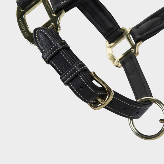RAPIDA Comfort Leather Headcollar Black