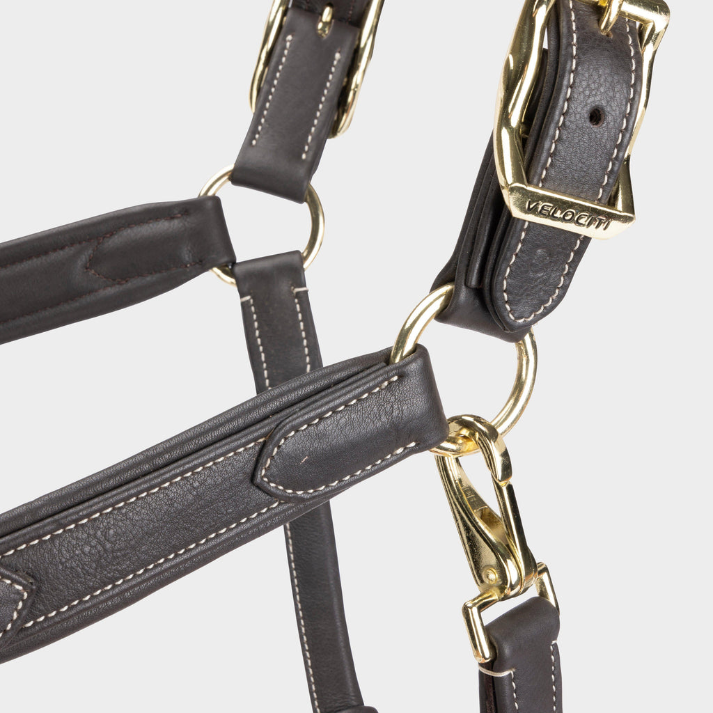 RAPIDA Comfort Leather Headcollar Havana