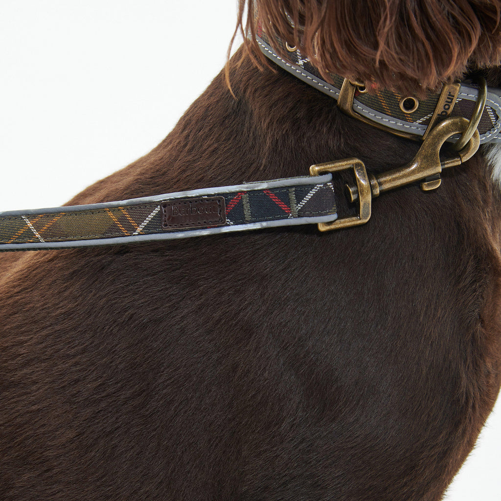 Reflective Tartan Comfort Dog Lead Classic Tartan