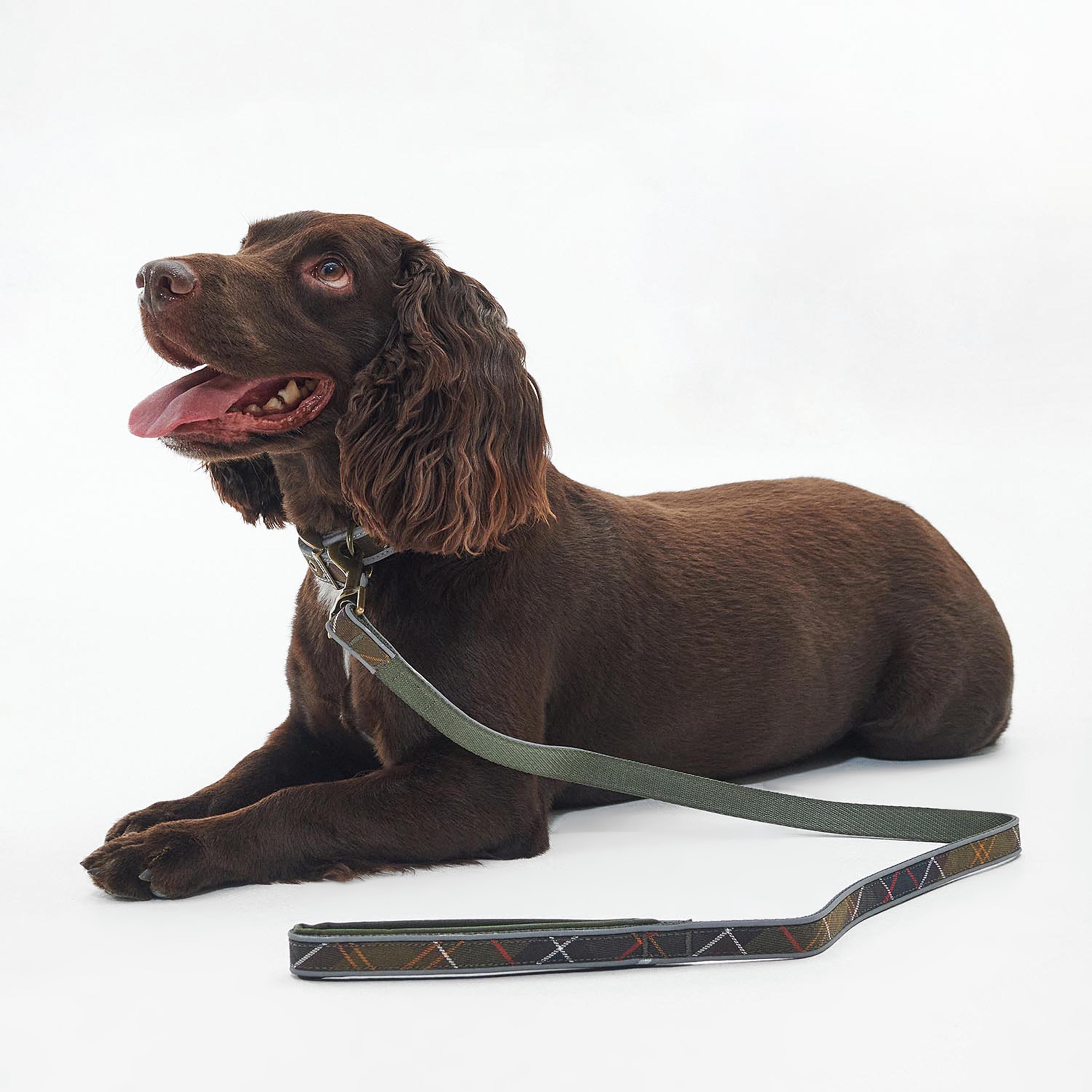 Reflective Tartan Comfort Dog Lead Classic Tartan