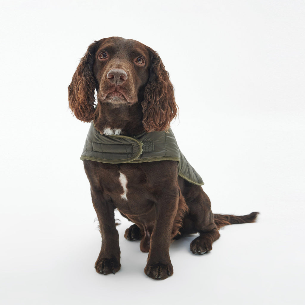 Baffle Quilted Dog Coat Dark Olive