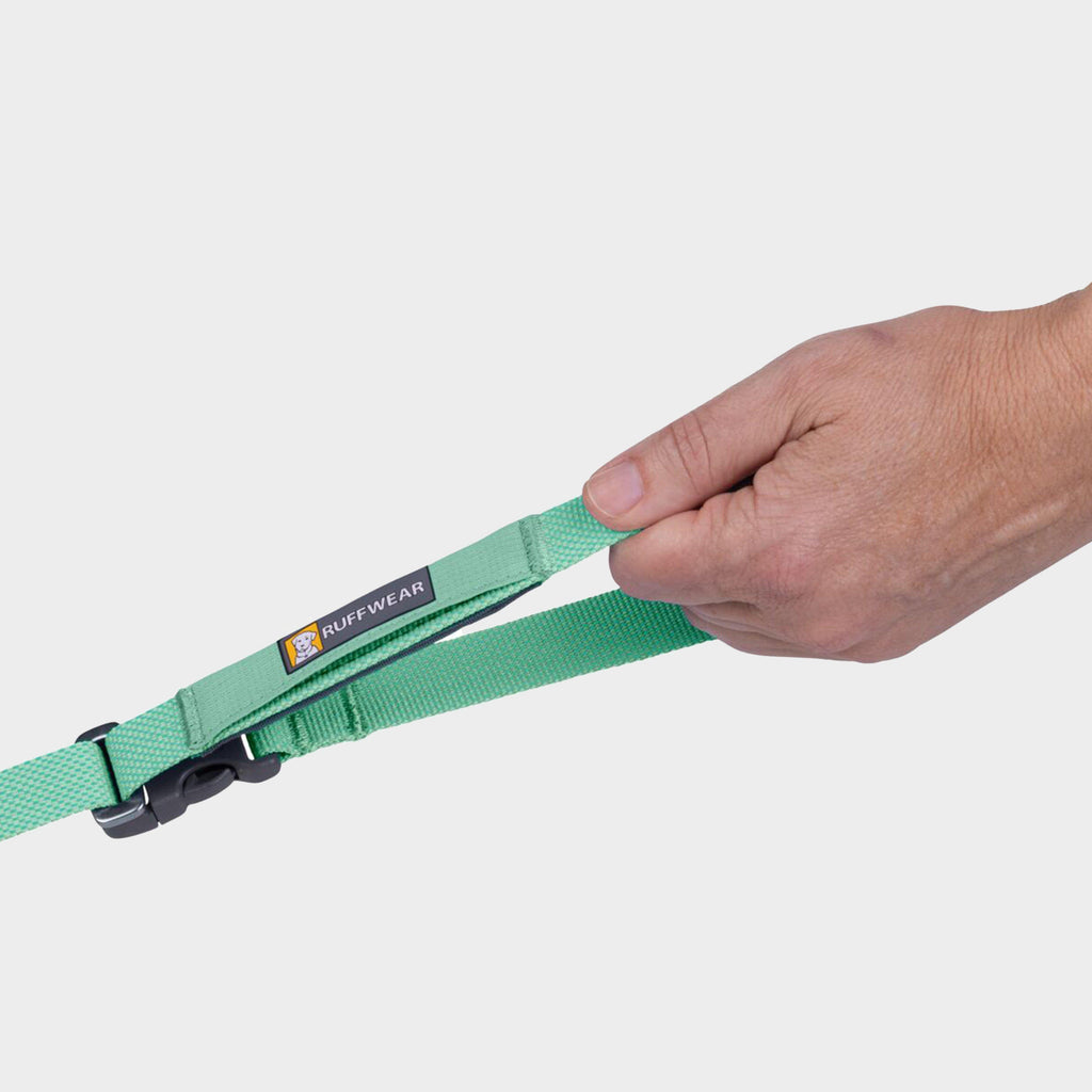 Flagline™ Dog Lead Sage Green