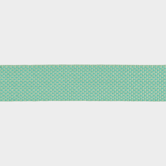 Hi & Light™ Lightweight Dog Collar Sage Green