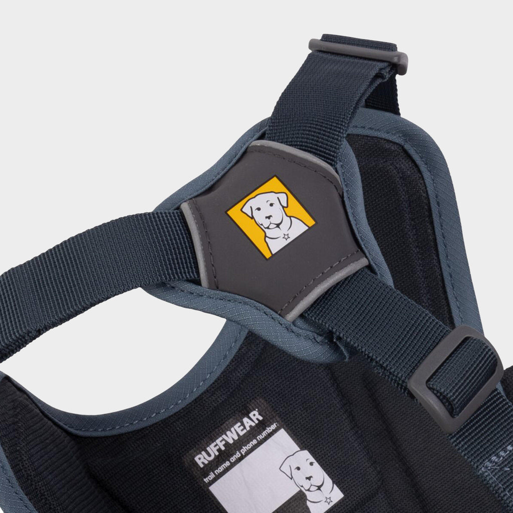 Web Master™ Dog Harness With Handle Slate Blue