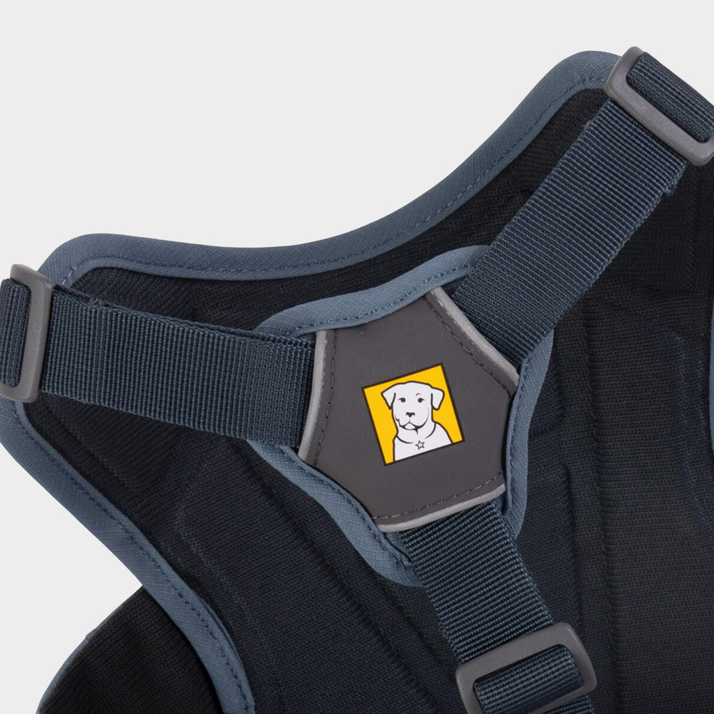 Web Master™ Dog Harness With Handle Slate Blue