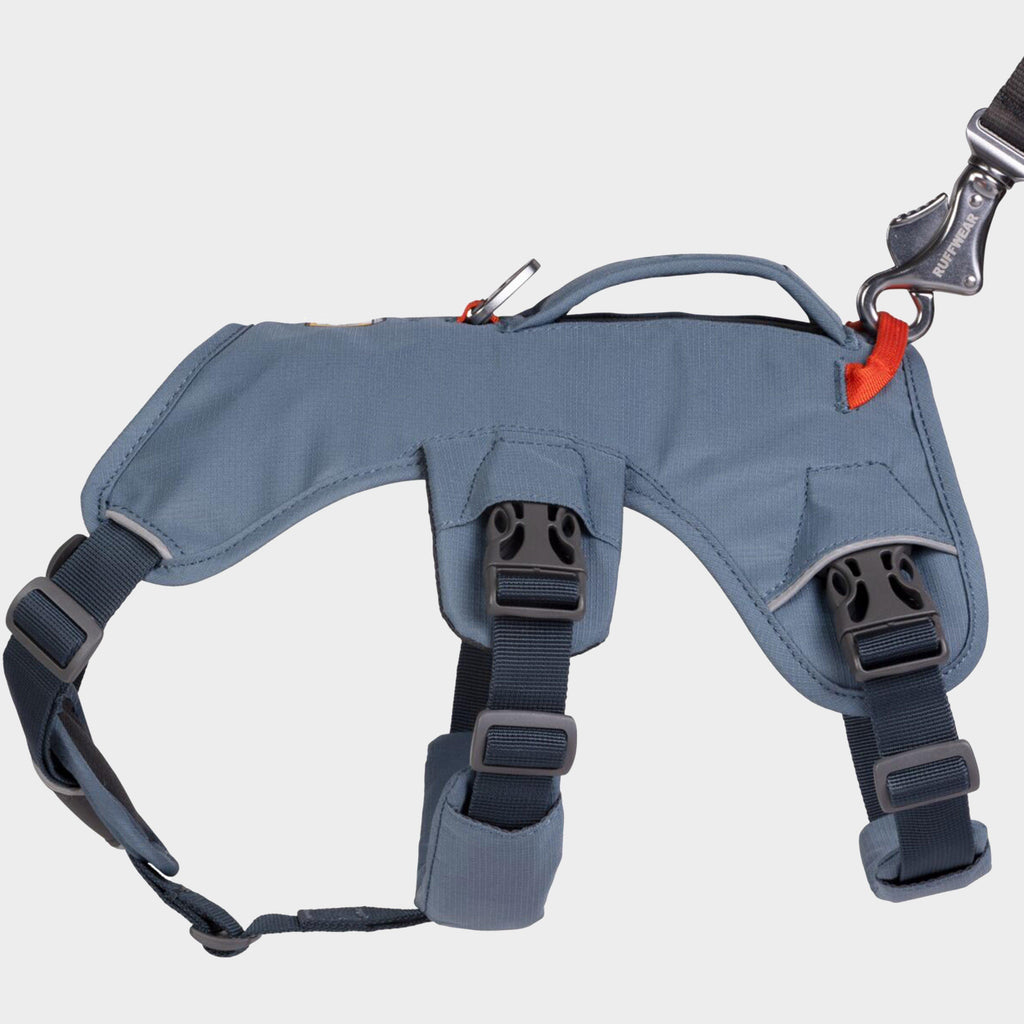 Web Master™ Dog Harness With Handle Slate Blue