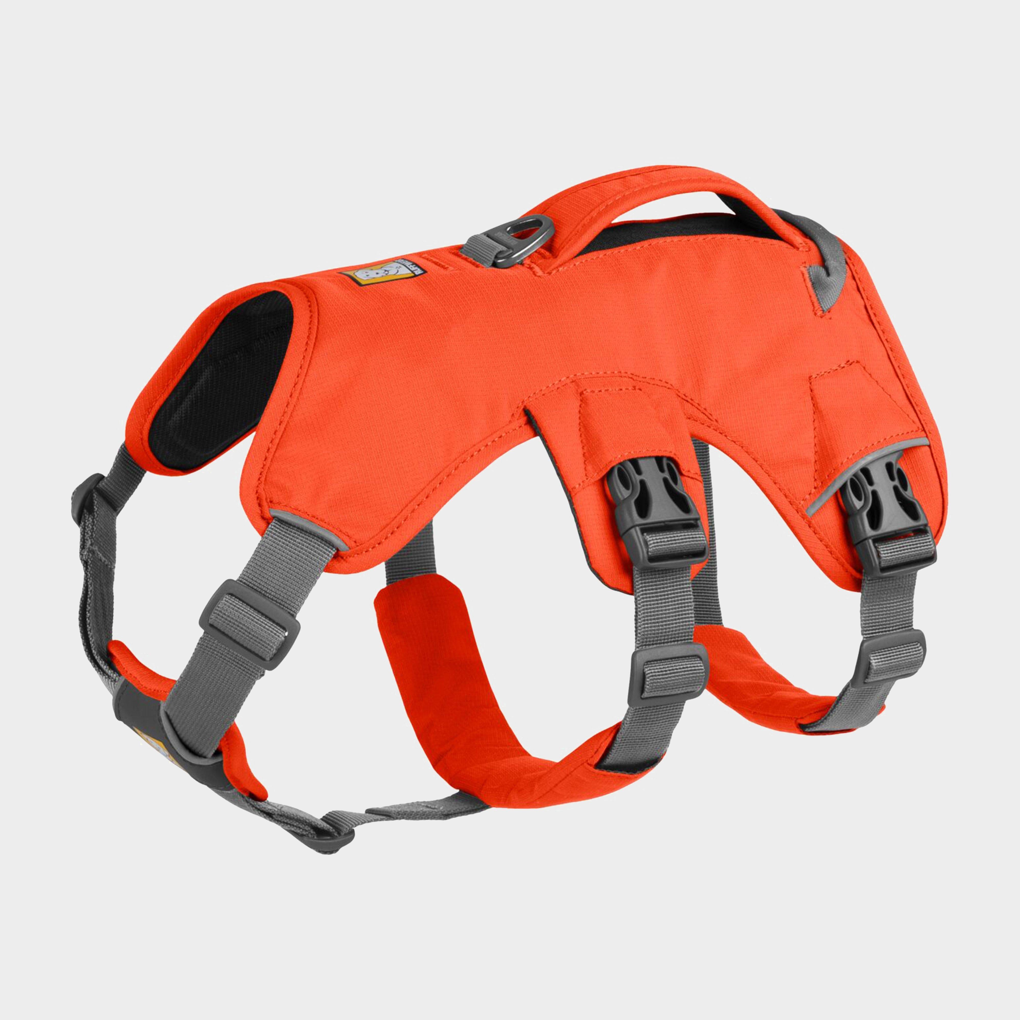 Web Master Dog Harness With Handle Blaze Orange