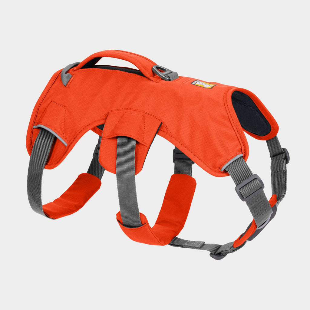 Web Master Dog Harness With Handle Blaze Orange