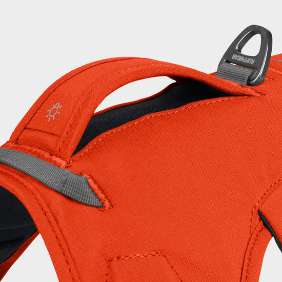 Web Master Dog Harness With Handle Blaze Orange